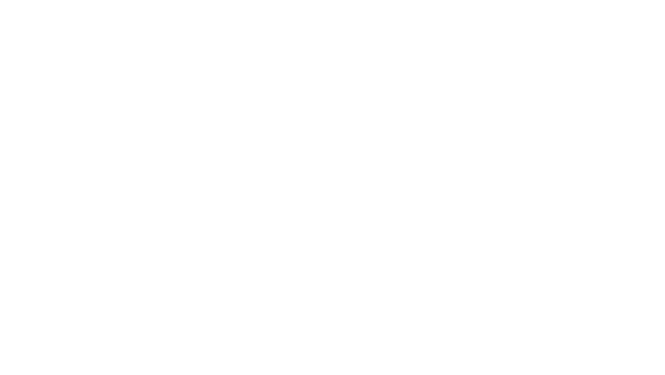 Southeastern Erectors, Inc
